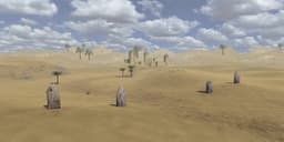 Ancient Sand